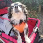 Mary Bonnell - @mbonnell1964 - Instagram