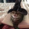 maryy.books_ - @maryy.books_ - TikTok