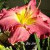 MaryAnn Borcherding - Facebook