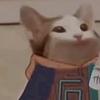 nihachubestqe - @mary._.boring - TikTok