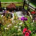 Mary Borman - Facebook