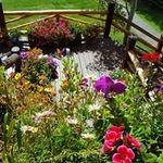 Mary Borman - @bormanmary - Instagram