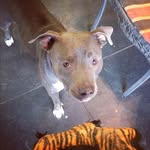 Mary Bormann - @orroachardb71 - Instagram