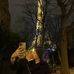 Mary Bormann - Facebook