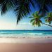 Mary Bort - Facebook