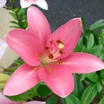 Mary Bosack - Facebook