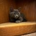 Mary Bosher - Facebook