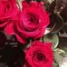 Mary Bourassa - Facebook