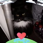 Mary Bourassa - Facebook
