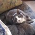 Mary Bourbeau - Facebook