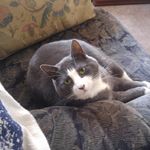 Mary Bourbeau - @mary_bourbeau13 - Instagram