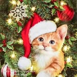 Shelly Thomas - @maryboutilier7 - Instagram