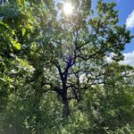 Mary Bouvier - @murr1013 - Instagram