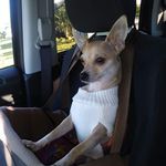Mary Boyette Miller - @boyettemiller - Instagram