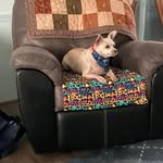Mary T. Wright Boylen - @mtboylen - Instagram