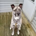 Mary Boyne - @boyne768 - Instagram