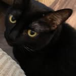 Mary Brabazon - @packerbacker4ever - Instagram