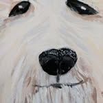 Mary Brainard - @mj3brainard - Instagram