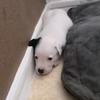 kelly_love - @maryline.brault - TikTok