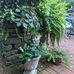 Mary Breeding - Facebook