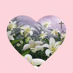Mary Breslin Watson - @m.b.watson - Instagram
