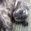 Mary Jane - @marybrewington1031 - TikTok