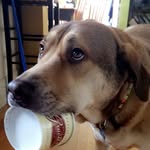 Mary Beth - @marybreyering - Instagram