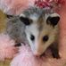 Mary Brigance - Facebook