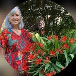 Mary Ellen Scaffidi Brigham - @_mebrigham - Instagram