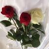 Mari Brightman - @mari.brightman - TikTok