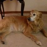 Mary Lou Brubaker Briles - @brilesmary - Instagram
