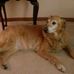 Mary Lou Brubaker Briles - Facebook