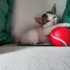 Mary Flor Brisky - @mary.flor.brisky - TikTok