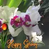 marybrittenbriggs - @marybrittenbriggs - TikTok