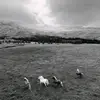 User3644364 - @marybronte - TikTok