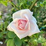 @_.mary.brooks._ - Instagram