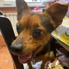 Mary brook - @maryy.brook - TikTok