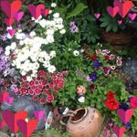 Mary Broom - @mary.broom - Instagram