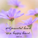 Mary Crisco Broome - @mary.broome - Instagram