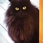 Marion Brosius - @marionbrosius - Instagram