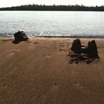 Mary Brosius - @mary.brosius - Instagram