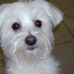 Marie Brumit - Facebook