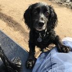 Mary Bruton Reid - @marybrutonreid - Instagram
