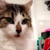 Marie Bryer - @marie_bryer - TikTok