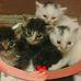 Mary Buchner - Facebook