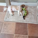 Mary Buchner - @mary.buchner.52 - Instagram