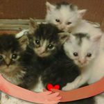 Mary Buchner - @mary.buchner.5 - Instagram