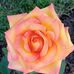 Mary Buckler - Facebook