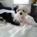 Mary Budde - Facebook