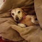 Mary Budde Catanzaro - @marybuddecatanzaro - Instagram